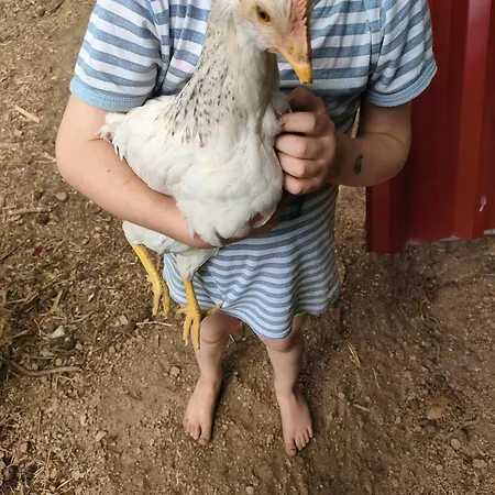 Quinta Dos Covoes Kamp alanı Fornos de Algodres