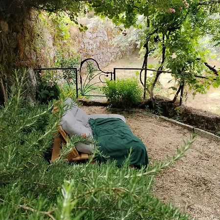 Quinta Dos Covoes Fornos de Algodres