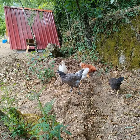Campingplatz Quinta Dos Covoes Fornos de Algodres
