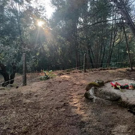 Quinta Dos Covoes Fornos de Algodres