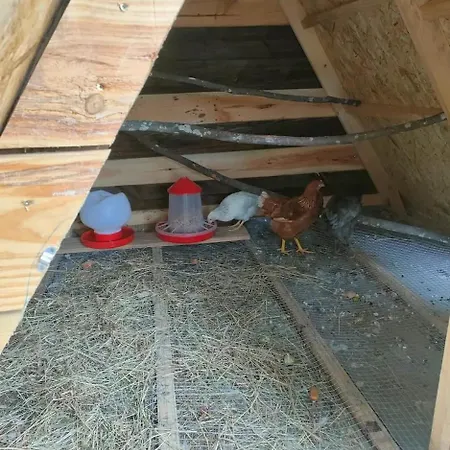 Quinta Dos Covoes Kamp alanı