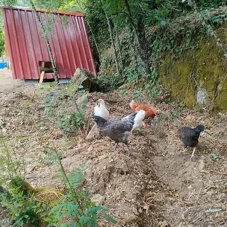 Campingplatz Quinta Dos Covoes Fornos de Algodres