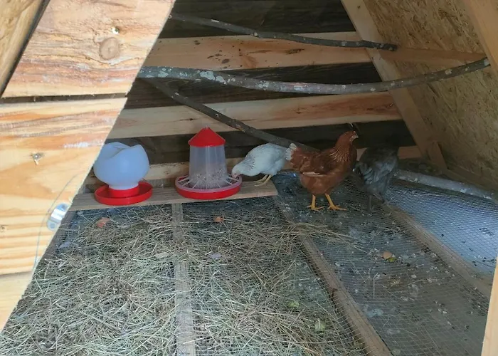 Camping Quinta Dos Covoes *