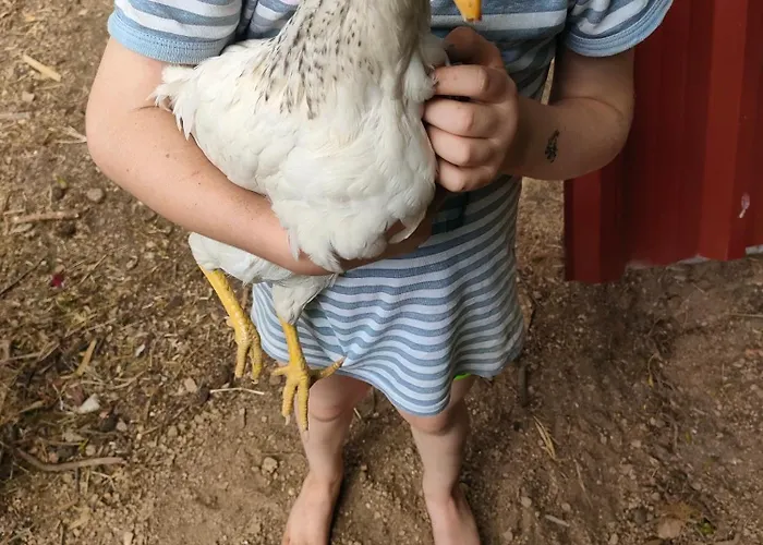 Quinta Dos Covoes Camping Fornos de Algodres