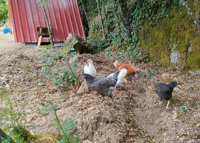 Camping Quinta Dos Covoes Fornos de Algodres