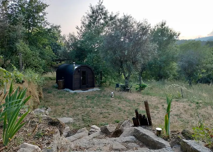 Quinta Dos Covoes Fornos de Algodres