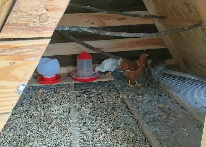 Quinta Dos Covoes Camping