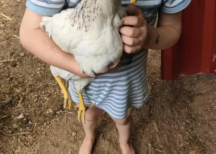 Quinta Dos Covoes * Fornos de Algodres